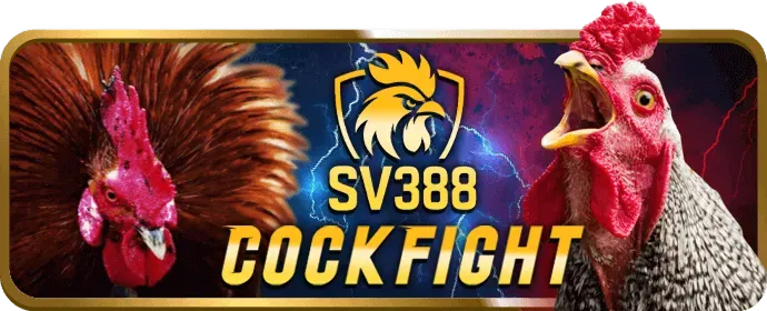 Đội ngũ hỗ trợ khách hàng vwbet nhà cái